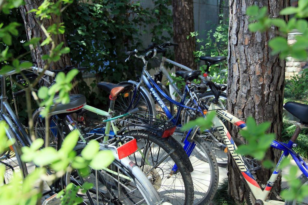 Hotel Princi i Vogel Velipoje Luaran gambar
